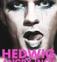 hedwig review 45