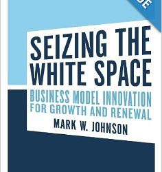seizing the white space book review 46